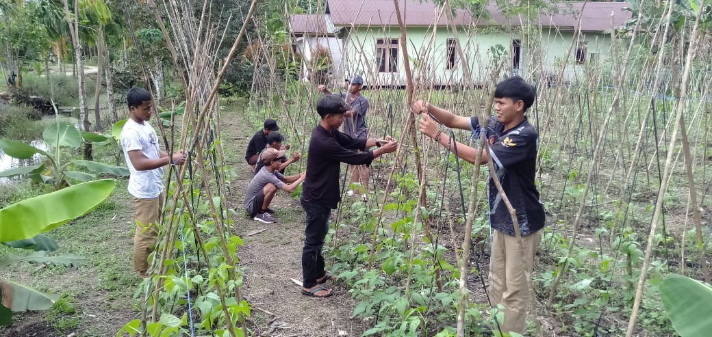 Pembelajaran di laboratorium keuangan